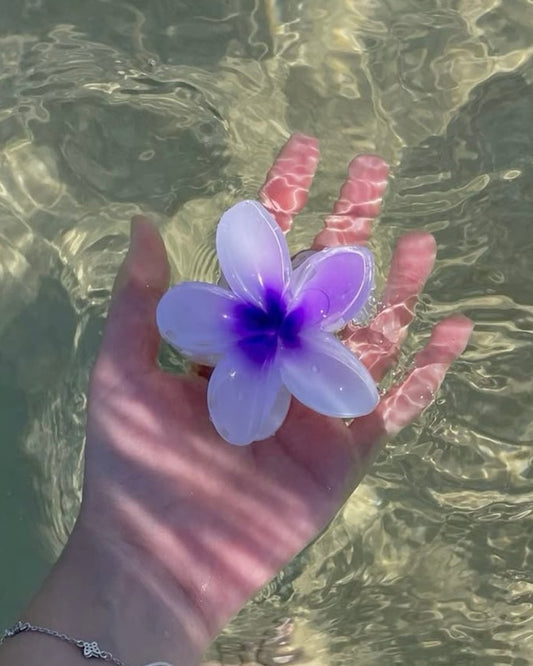 Pinza hawaiana morada